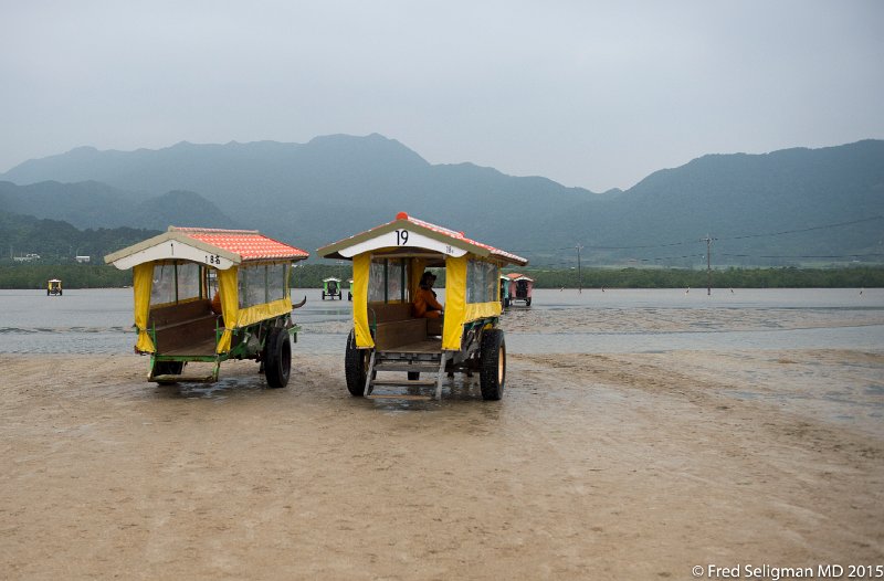20150322_130933 D4S.jpg - Water buffalo carts on Taketomi Island
